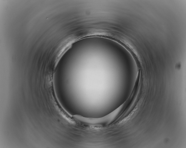 X0000090711377200707271122