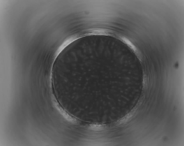 X0000090711378200707271122