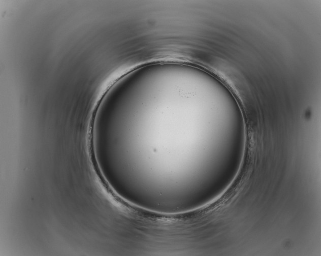 X0000090711379200707271122