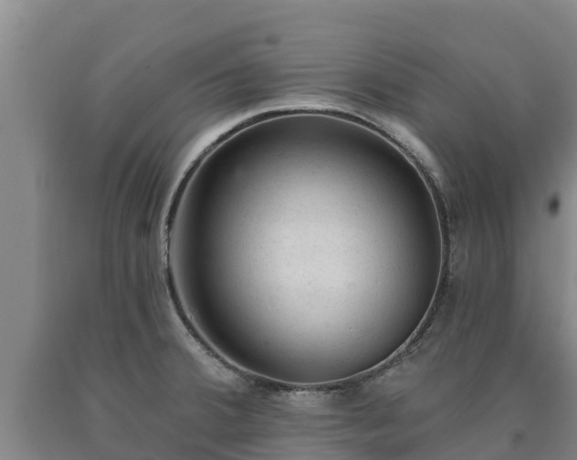 X0000090711380200707271122