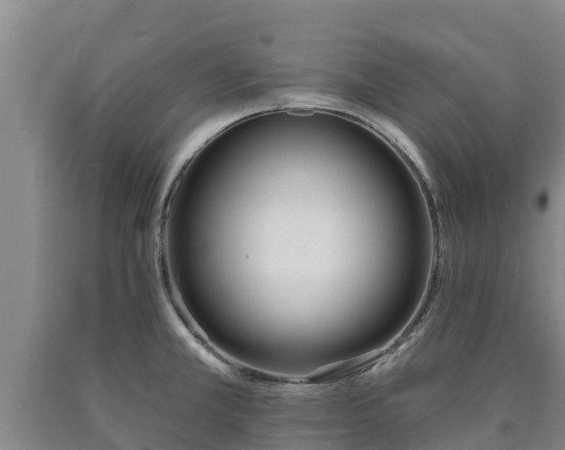 X0000090711381200707271122