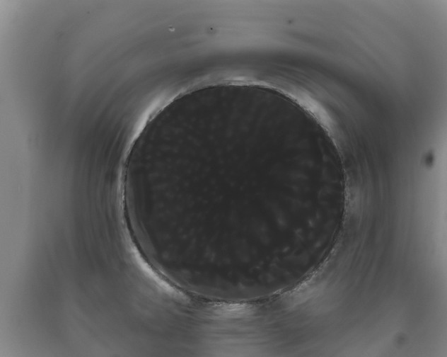 X0000090711382200707271122