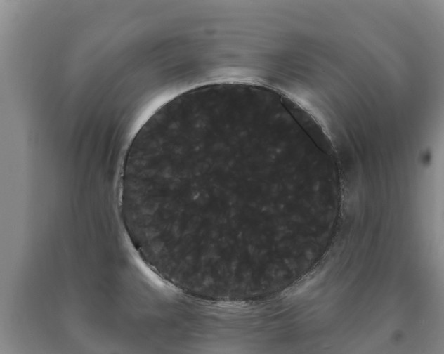 X0000090711383200707271122