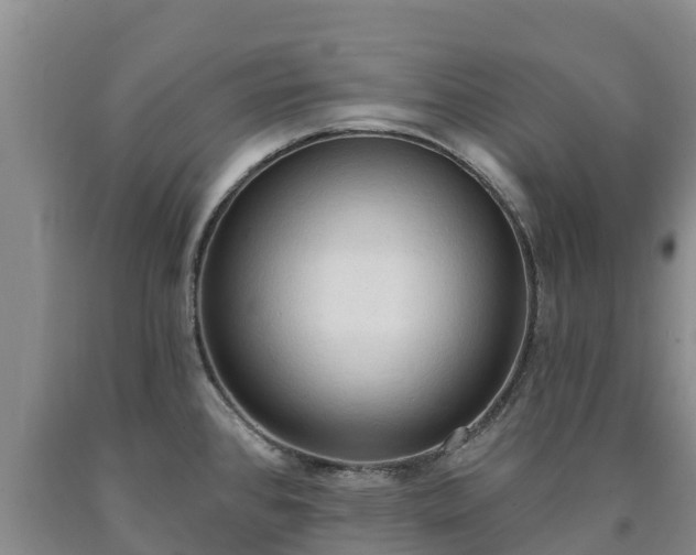 X0000090711384200707271122