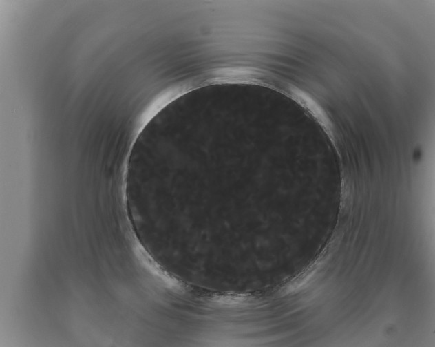 X0000090711386200707271122