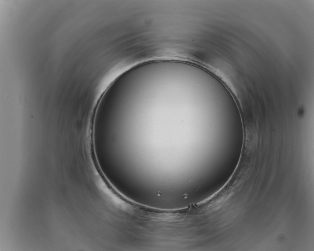 X0000090711387200707271122