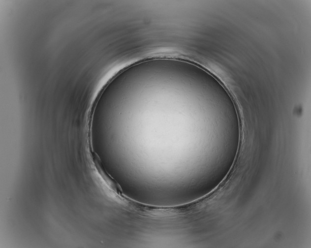 X0000090711392200707271122