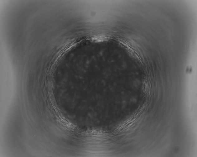 X0000090711393200707271121