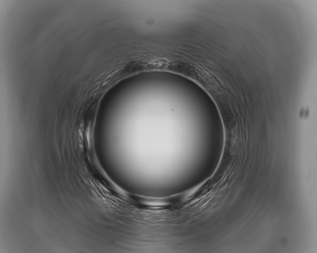 X0000090711394200707271122