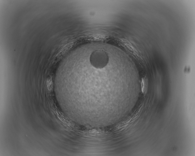 X0000090711395200707271122