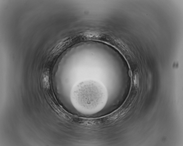 X0000090711396200707271122