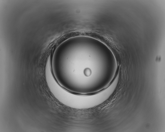 X0000090711398200707271122