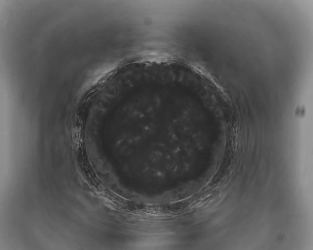 X0000090711399200707271122