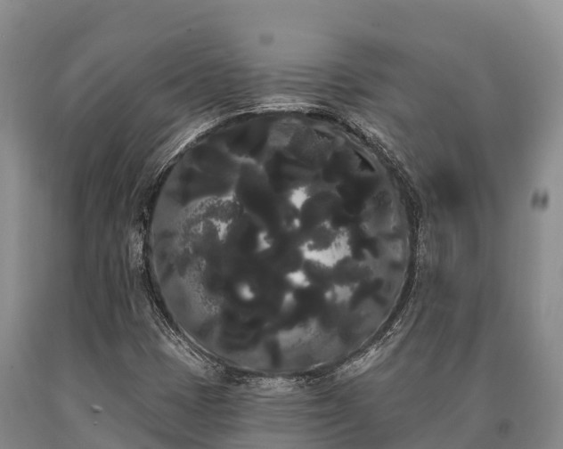 X0000090711401200707271122