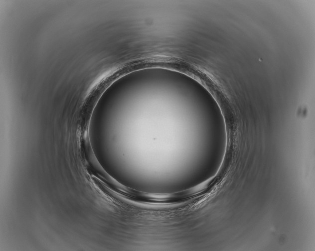 X0000090711402200707271122