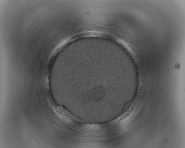 X0000090711403200707271122