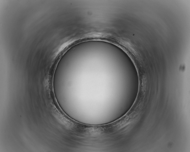 X0000090711404200707271122