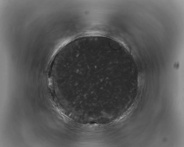 X0000090711405200707271122