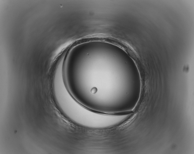 X0000090711406200707271122