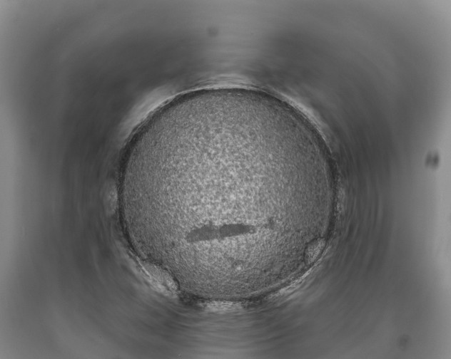 X0000090711407200707271122