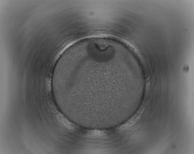 X0000090711409200707271122