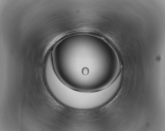 X0000090711410200707271122