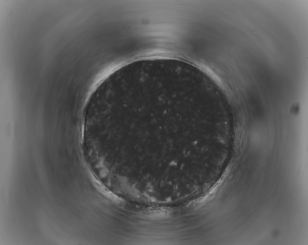 X0000090711413200707271122