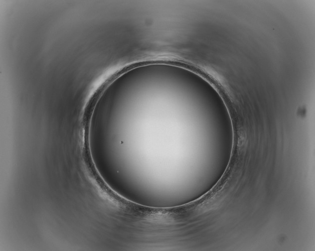 X0000090711414200707271122