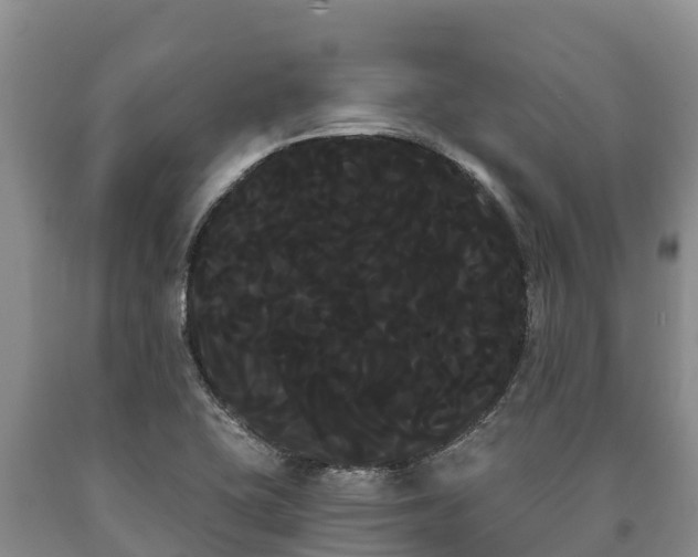 X0000090711415200707271122