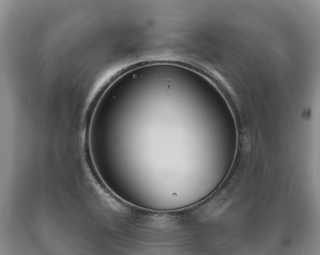 X0000090711416200707271122