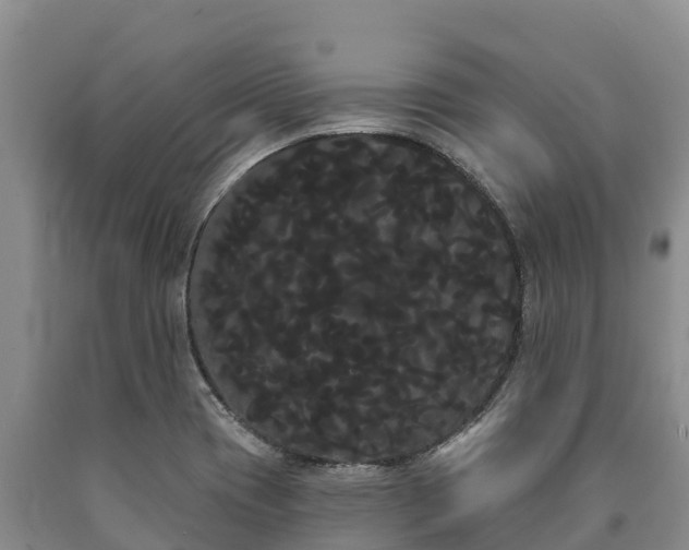 X0000090711417200707271122