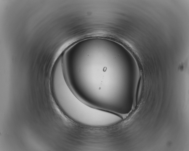 X0000090711418200707271122