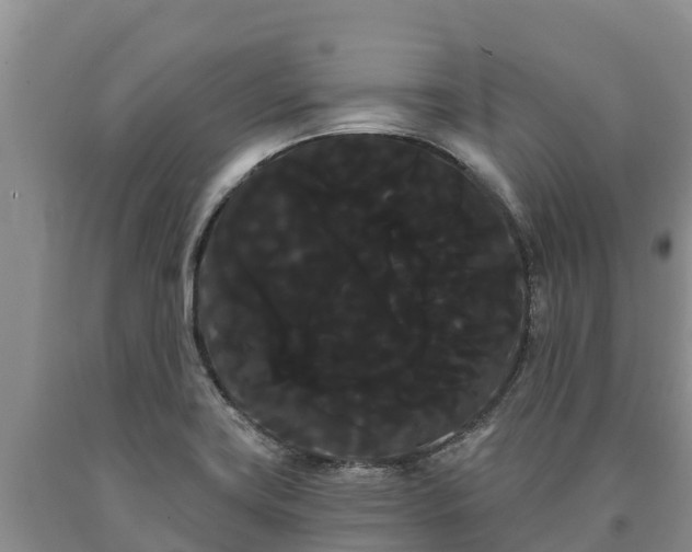 X0000090711419200707271122