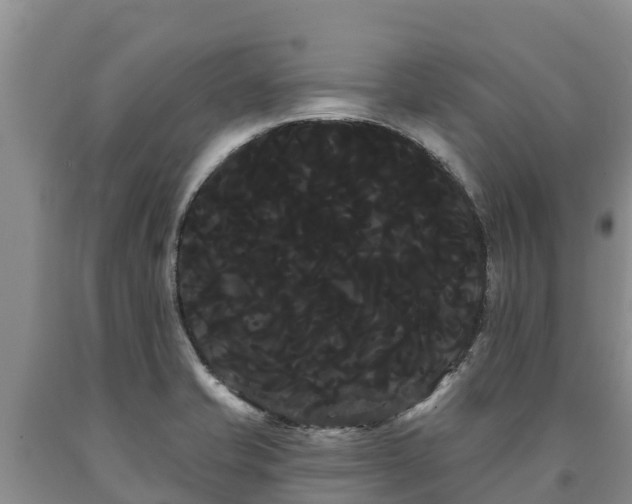 X0000090711421200707271122