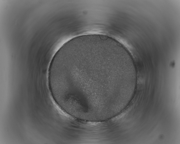 X0000090711423200707271122