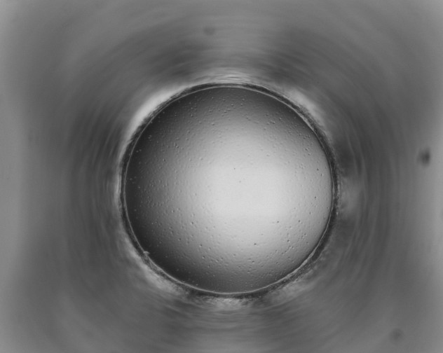 X0000090711424200707271122