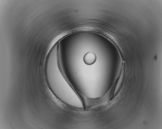 X0000090711426200707271122