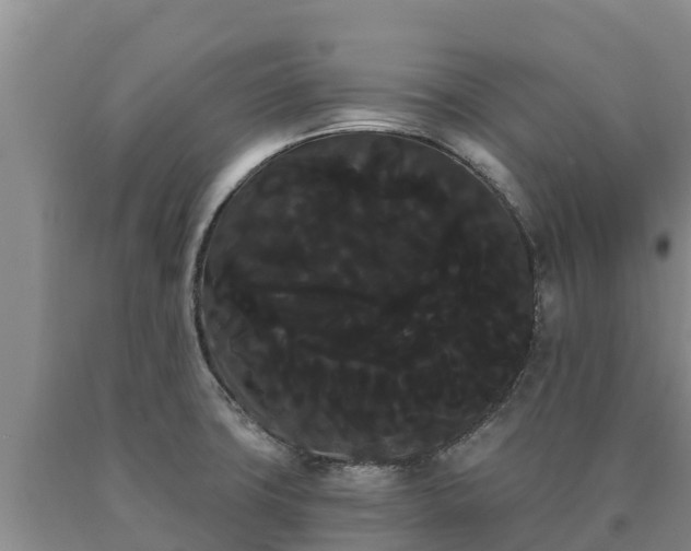 X0000090711427200707271122