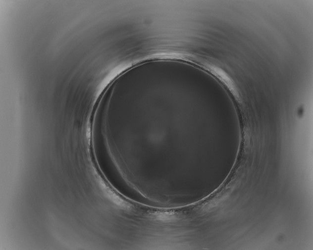 X0000090711428200707271122