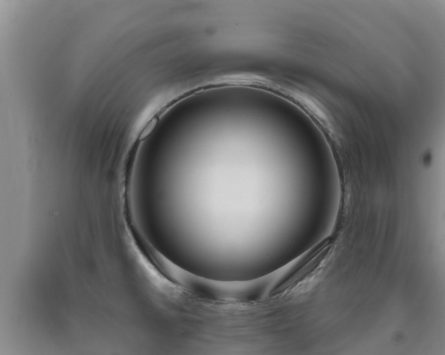 X0000090711430200707271122