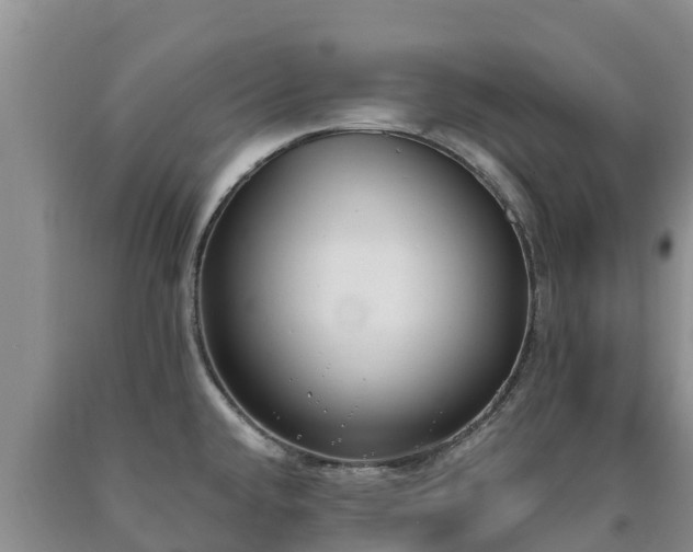 X0000090711432200707271122