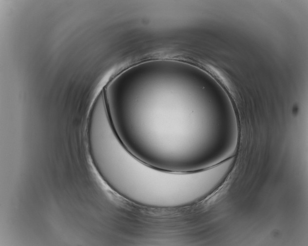 X0000090711434200707271122