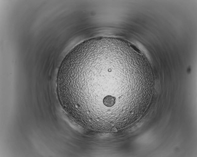 X0000090711435200707271122