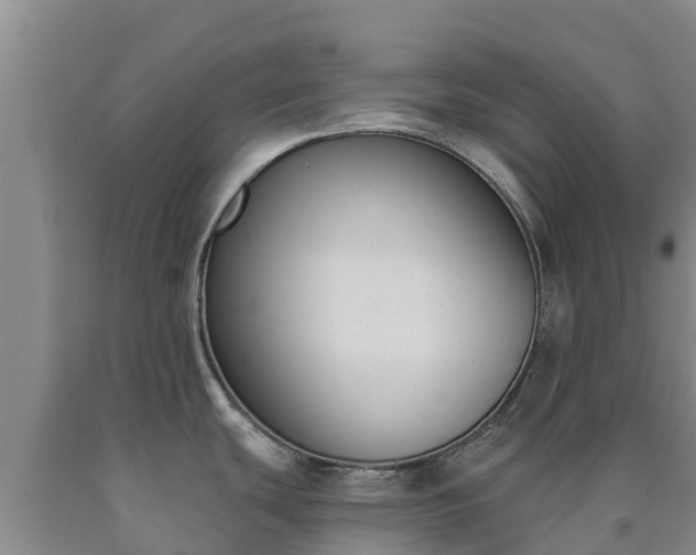 X0000090711439200707271122