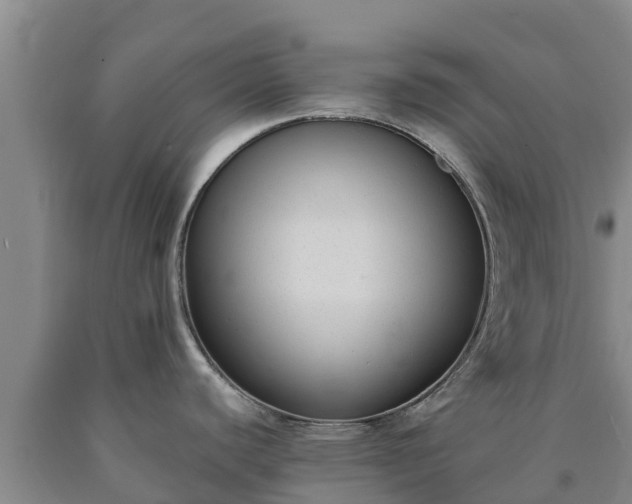 X0000090711440200707271122