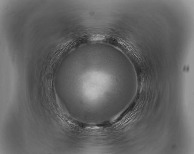 X0000090711441200707271121