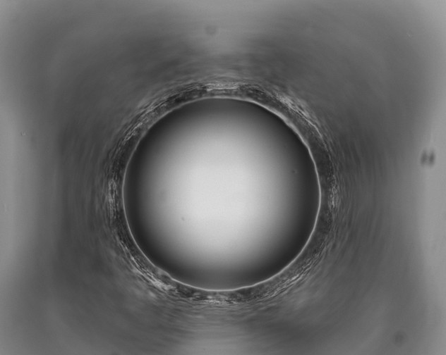 X0000090711445200707271121