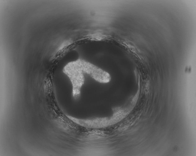 X0000090711446200707271121