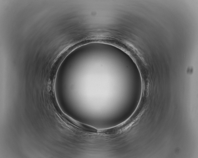 X0000090711449200707271121