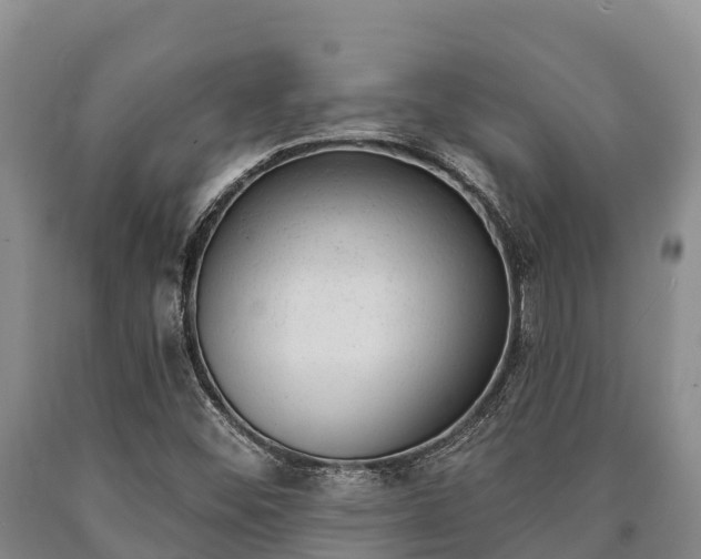 X0000090711452200707271121